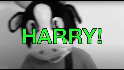 Happy Birthday HARRY! - COW Happy Birthday Song