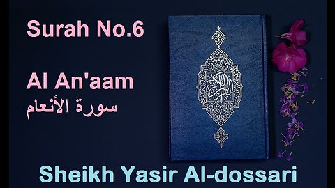 Quran 6 Surah Al An'aam سورة الأنعام Sheikh Yasir Al Dosary - With English Translation