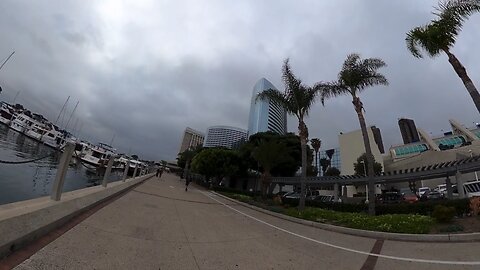 Blasian Babies DaDa In San Diego For Convention Center And Walks Through Embarcadero Marina Park Docks!