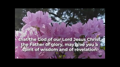 Ephesians Chapter 1 - Acapella [Lyric Video] - The Bible Song