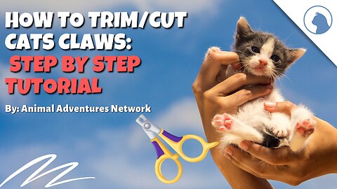 How To Trim/Cut Cats Claws: Step By Step Tutorial