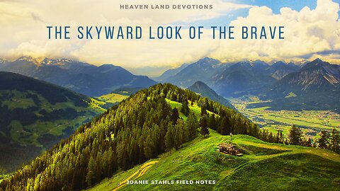 Heaven Land Devotions - The Skyward Look Of The Brave