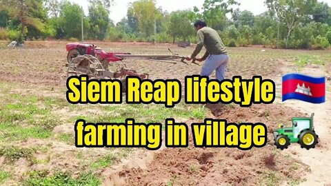 Lifestyle Siem Reap2021, Farming in Village Amazing Tour Cambodia.