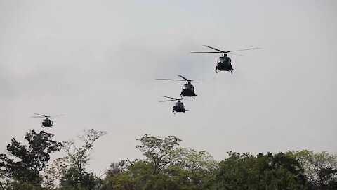 25th ID Air Assault with TNI-AD