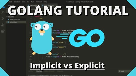 Golang Tutorial #3 - Assignment Expression & Implicit vs Explicit