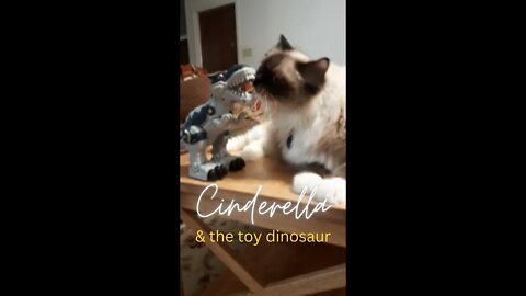 This kitty is playing with a toy dinosaur and gets scared out by it!