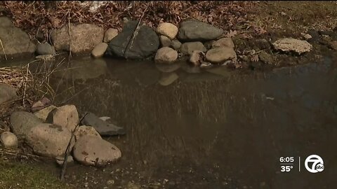 Flooding problems in Waterford create division among neighbors