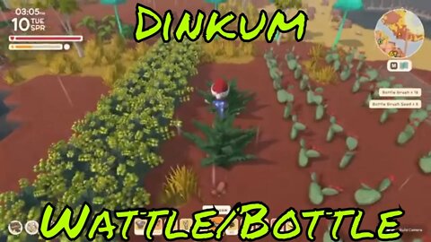 Dinkum Wattle and Bottle Brush Farm! How To!