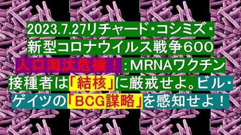 2023.07.27 リチャード・コシミズ新型コロナウイルス戦争６００