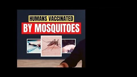 Bill Gates New Vaccine Mosquitoes and New Lockdowns Due to Mosquitoes Illness