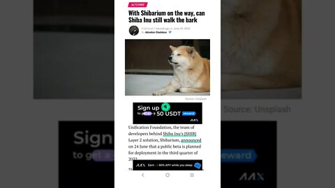 Can Shiba Inu Still Walk The Bark? #cryptomash #ytshorts #cryptonews #viralvideo2022