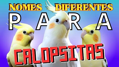 NOMES DIFERENTES PARA CALOPSITAS