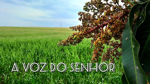 🙏🏻Jardim de Louvor-27-(A voz do Senhor-Dilce Carvalho)📖