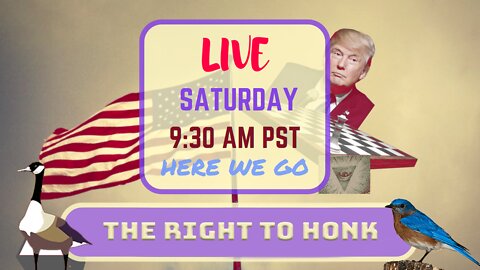 Saturday *LIVE* The Right To Honk (Shall Not Be Infringed...) Edition