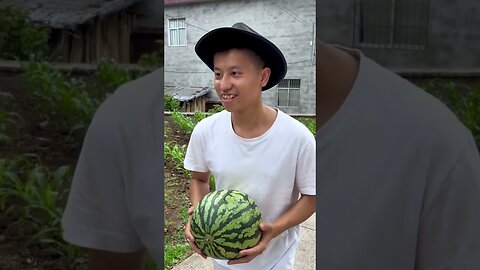 Hilarious Watermelon Mishaps: You Won't Stop Laughing!