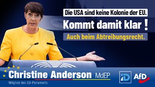 Die USA sind keine Kolonie der EU