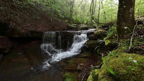 Stepp Creek