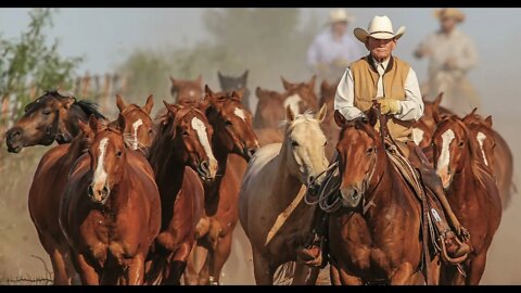 Doggone Cowboy With Boots O'Neal