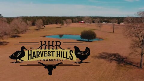 Harvest Hills Ranch Conference Center and Farm Tours