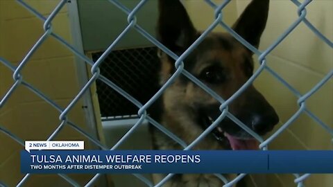 Tulsa Animal Welfare Reopens