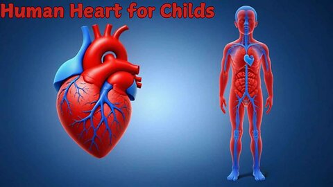 The Human Heart for Childs | Educational video to learn all about how the heart works