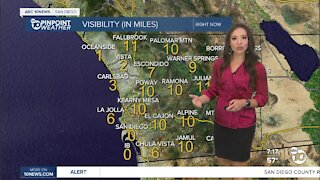 ABC 10News PinPoint Weather With Meteorologist Angelica Campos