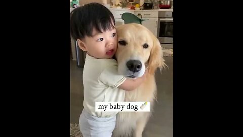 Cutest dogs video compilation ever ♥️