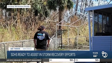 San Diego Humane Society ready to assist in storm recovery