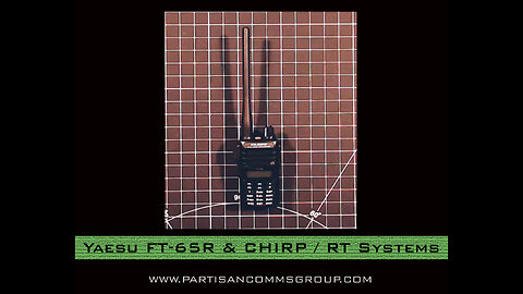 E6: Yaesu FT-65R & CHRIP / RT Systems