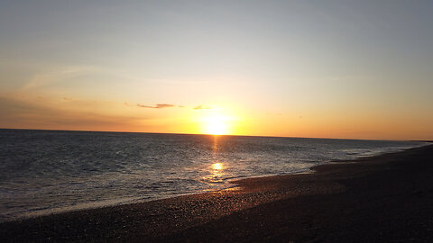 Fish Dreaming Fridays | Seals & Dolphins from a distance | What a Day!