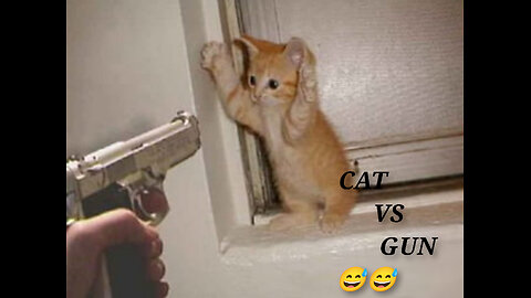 Cat vs Gun Funny Moments 😅😄