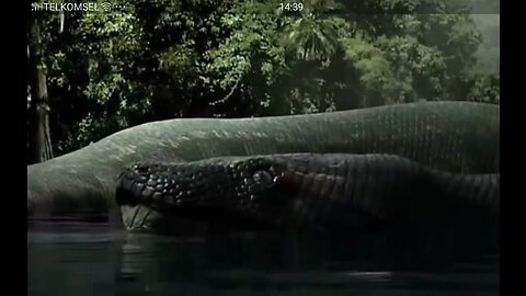 Video giant snake - In Sungai Kalimantan,ular raksasa NABAU first appeared.