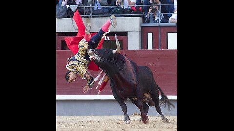 Bull fighting with people🤣🫡🫣**_ Dangerous Bull 🐂 fight Accident - Best funny video**