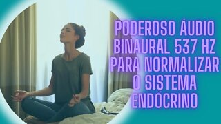 Poderoso Áudio Binaural 537 Hz Para Normalizar O Sistema Endócrino.