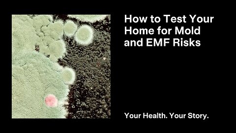 How to Test Your Home for Mold and EMF Risks