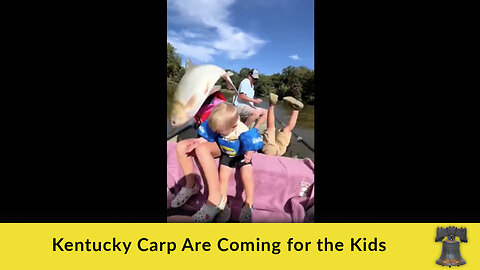 Kentucky Carp Are Coming for the Kids