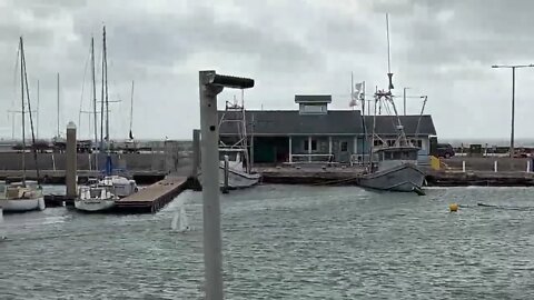 Race 1 2022 USA Marblehead Nationals Corpus Christi TX