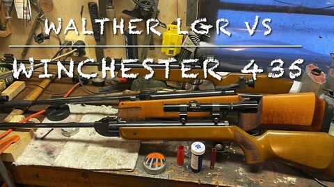 Head to head challenge Walther LGR vs Winchester 435 (Diana 35) couple real beautiful shooters here!