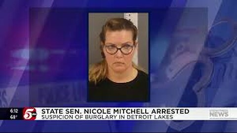 The Unraveling Tale of Senator Nicole Mitchell's Arrest