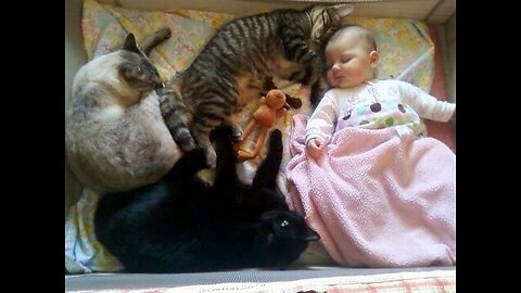 The babysitter cat | Baby and cat