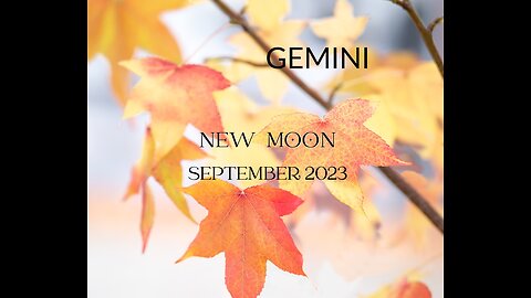 GEMINI- "THIS IS NOT A TASK, IT IS A CALLING" SEPTEMBER 2023