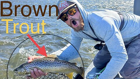 catching big trout off streamers in Montana LOST VIDEOS