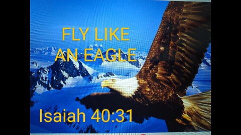 Fly Like an Eagle 11/12/22