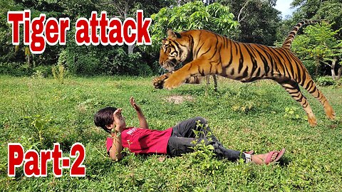 Tiger attack in man || Sher Ka Hamla insan per