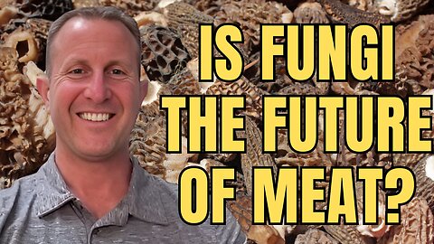 Is the Future of Meat Actually Fungi?