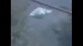 Flying Saucer Filmed by Multiple Witnesses in Mexico