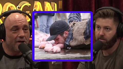 Possible Effects of Eating Testicles | Joe Rogan Experience