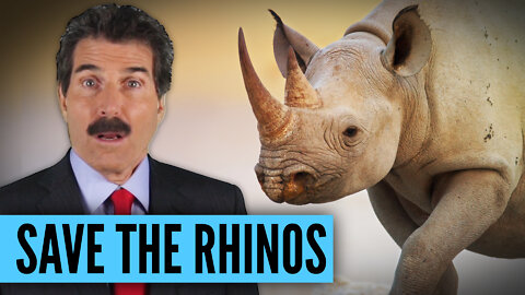 Save the Rhinos!