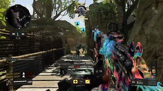 Black Ops 4 TDM Game Play ( no commentary )