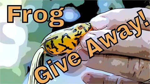 Frog Give Away! Guess the riddle... Bullywa 2, Teckel, and more!